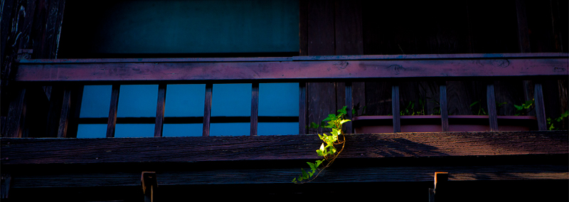 Thumbnail Image 1