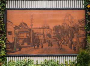 Thumbnail Image 1