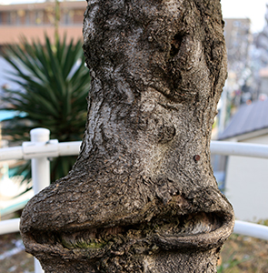 Thumbnail Image 1