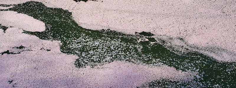 Thumbnail Image 1