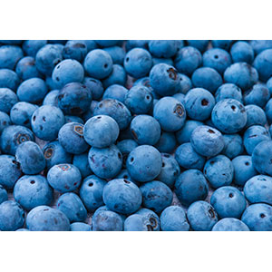 Thumbnail Image 1