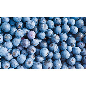 Thumbnail Image 1