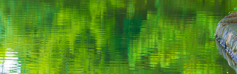 Thumbnail Image 1