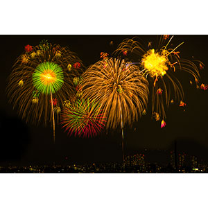Thumbnail Image 1