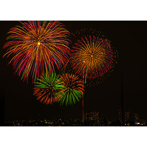 Thumbnail Image 1
