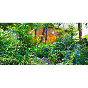 Thumbnail Image 1