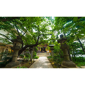 Thumbnail Image 1