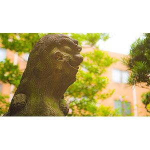 Thumbnail Image 1