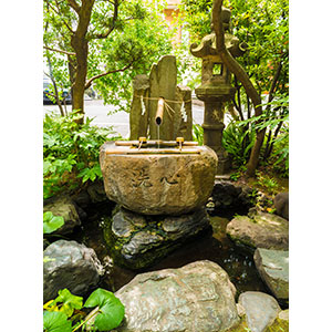 Thumbnail Image 1