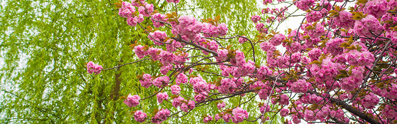 Thumbnail Image 1