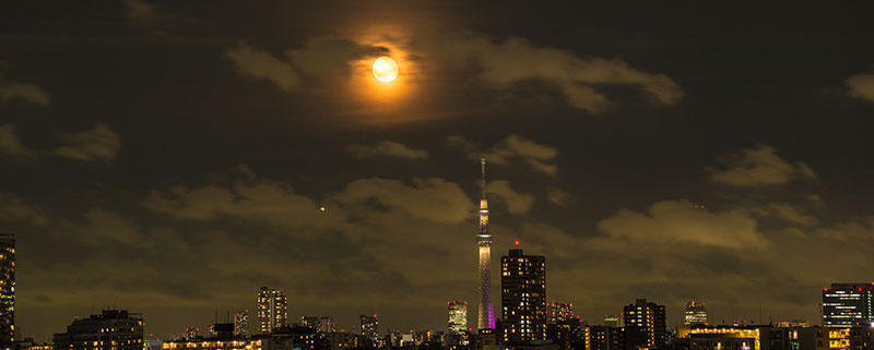 Thumbnail Image 1