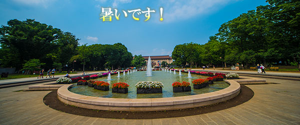 Thumbnail Image 1