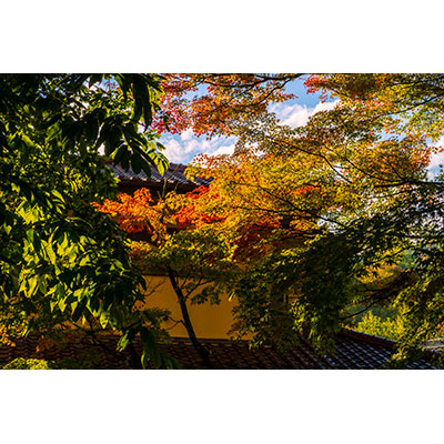 Thumbnail Image 1