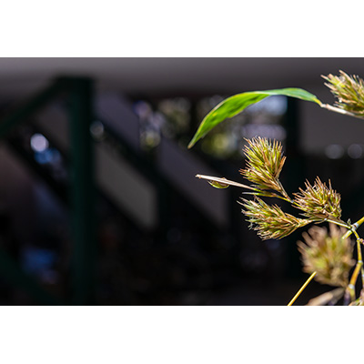 Thumbnail Image 1