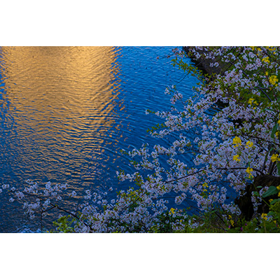 Thumbnail Image 1