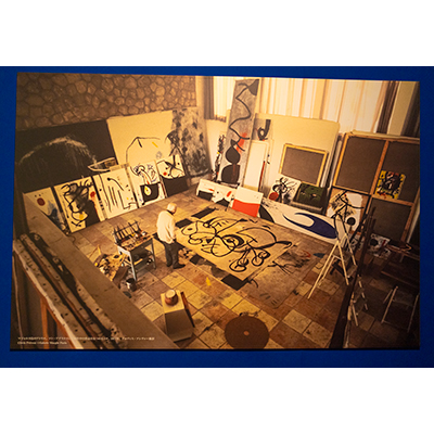 Thumbnail Image 1