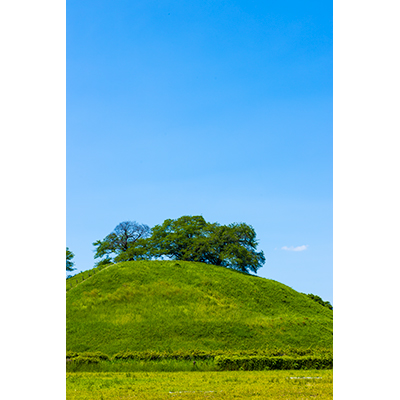 Thumbnail Image 1