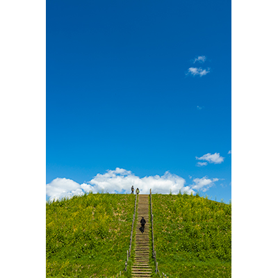 Thumbnail Image 1
