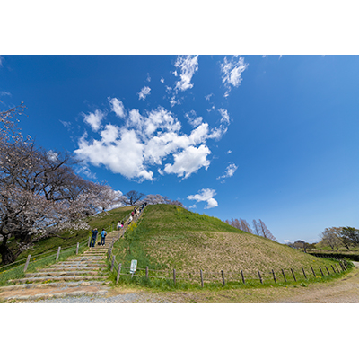 Thumbnail Image 1