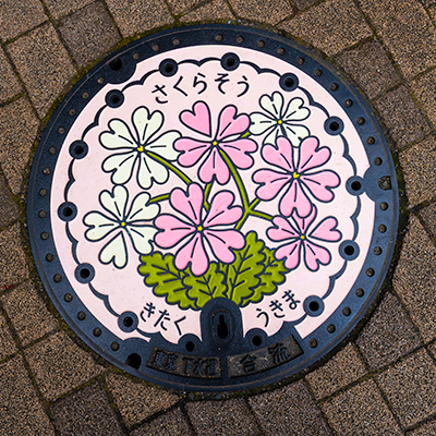 Thumbnail Image 1