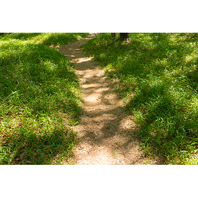 Thumbnail Image 1