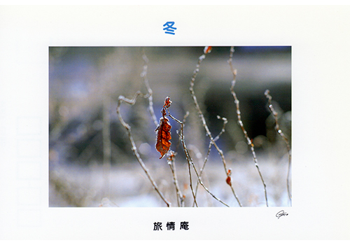 Thumbnail Image 1