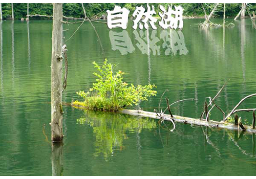 Thumbnail Image 1
