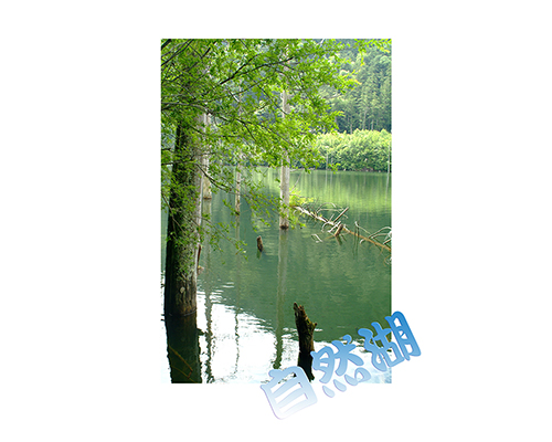 Thumbnail Image 1