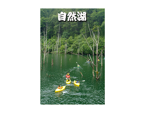 Thumbnail Image 1