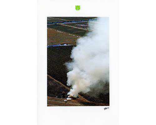 Thumbnail Image 1