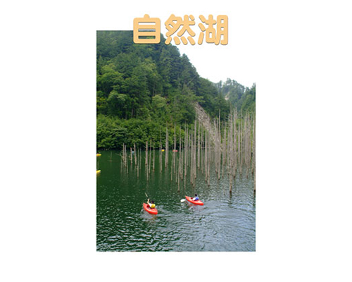 Thumbnail Image 1