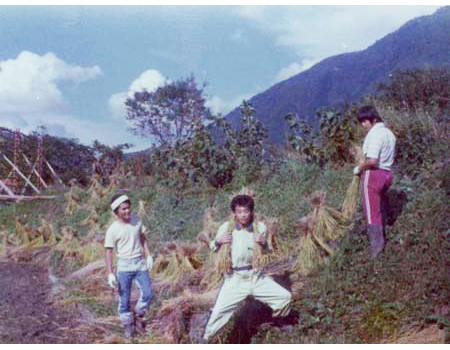 Thumbnail Image 1