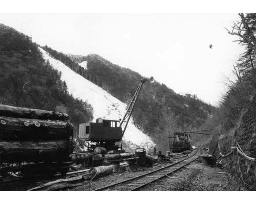 Thumbnail Image 1