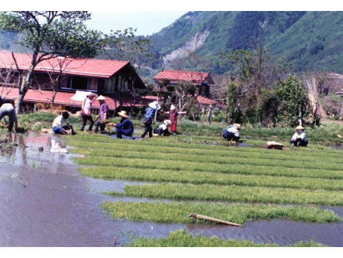Thumbnail Image 1