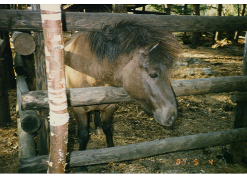 Thumbnail Image 1