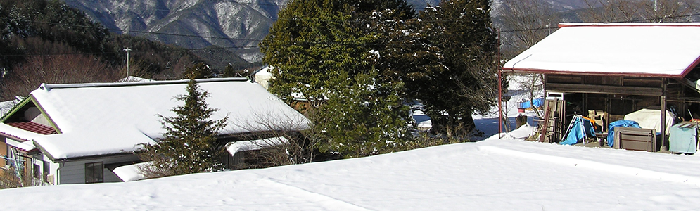 Thumbnail Image 1