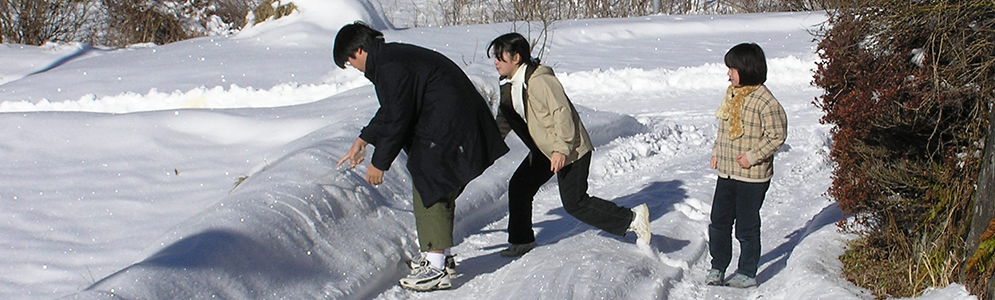 Thumbnail Image 1