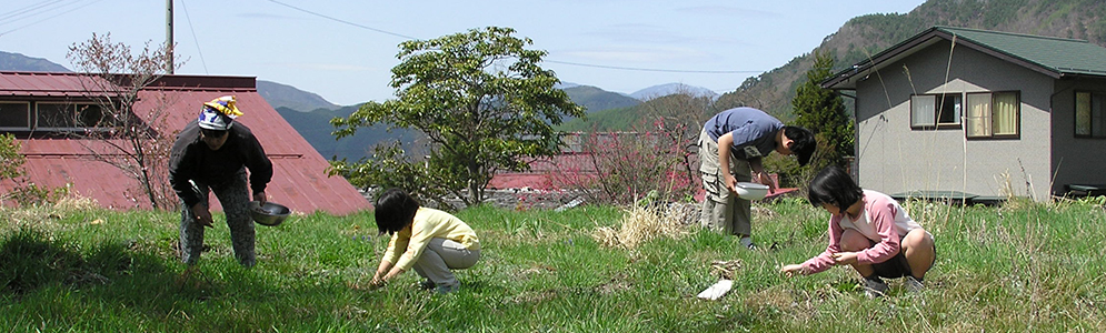 Thumbnail Image 1