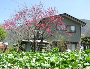 Thumbnail Image 1
