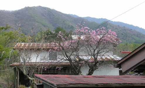 Thumbnail Image 1
