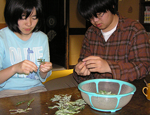 Thumbnail Image 1