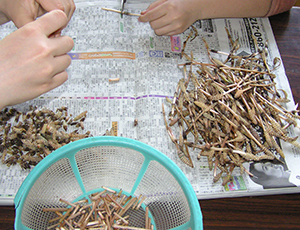 Thumbnail Image 1