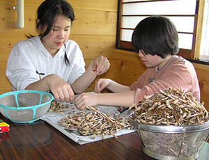 Thumbnail Image 1