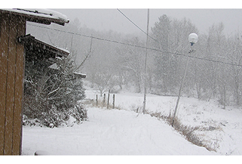 Thumbnail Image 1