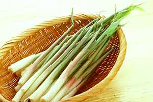 Thumbnail Image 1