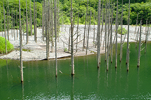 Thumbnail Image 1