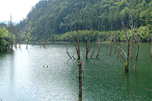 Thumbnail Image 1