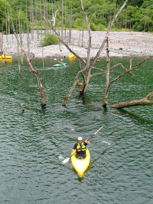Thumbnail Image 1