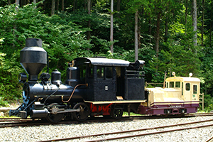 Thumbnail Image 1