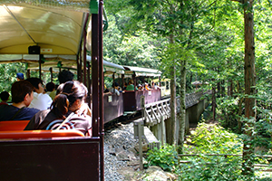 Thumbnail Image 1